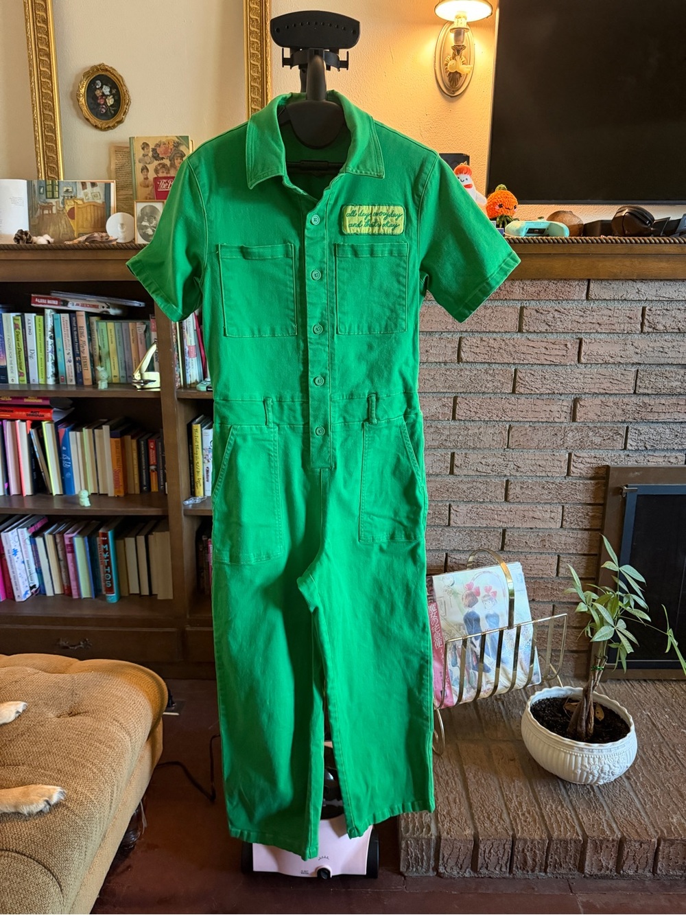 Target Pride Wide-Leg Jumpsuit in Green